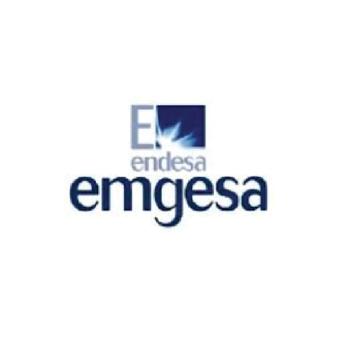 Endesa-Colombia-servicio de Consultoría sector ingeniería-advisory services engineering sector