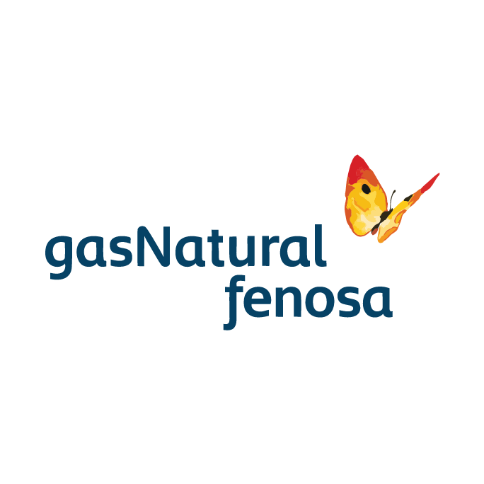 Gas Natural-Colombia-servicio de Consultoría sector ingeniería-advisory services engineering sector