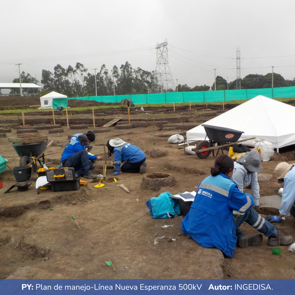 Plan de manejo-Línea Nueva Esperanza 500kV