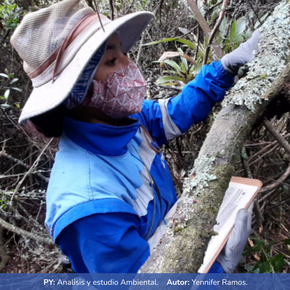 Analisis y estudio ambiental