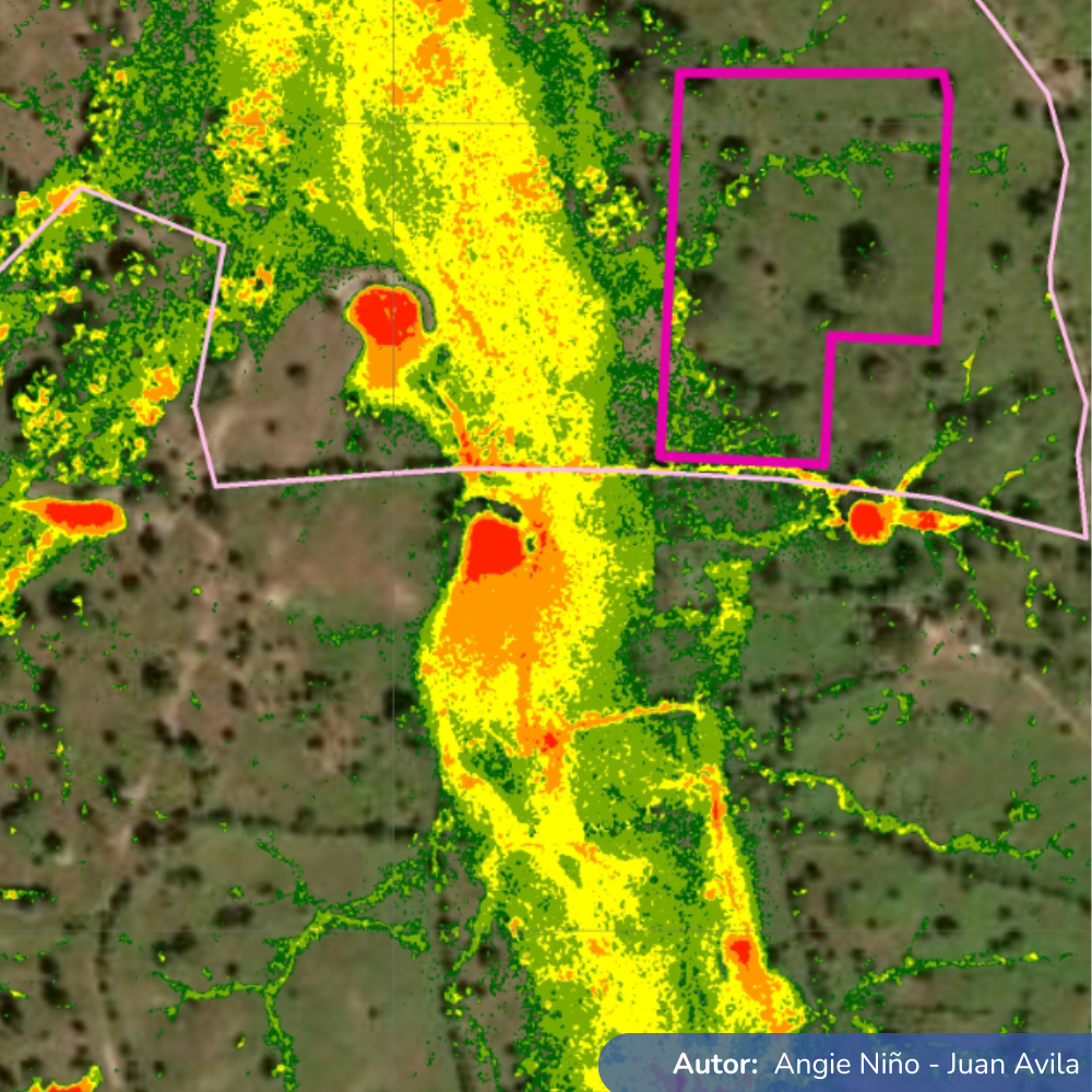 Estudios geotécnicos y de Socavación Río Meta – LT Chivor Rubiales 230 kV Colombia