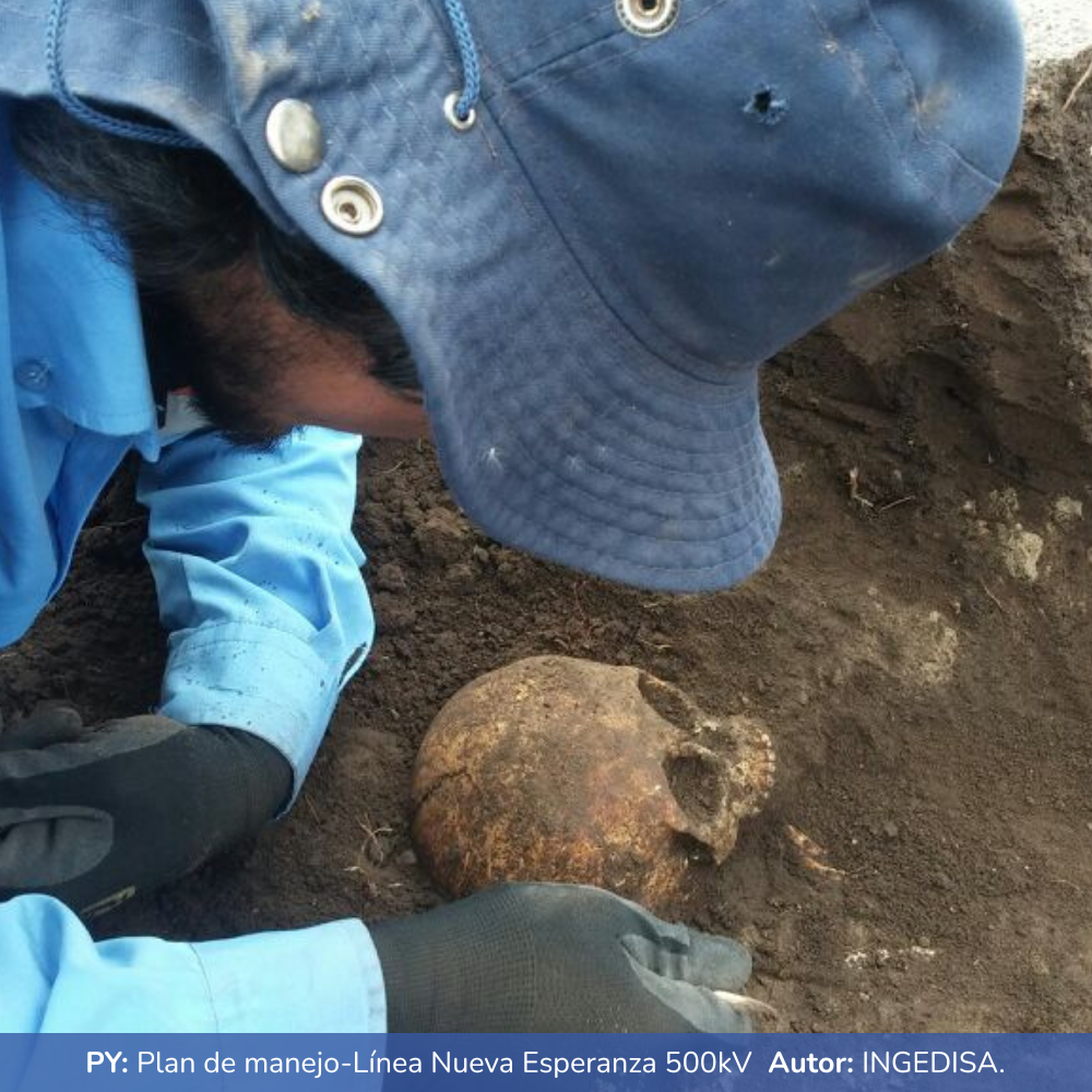 Plan de manejo-Línea Nueva Esperanza 500kV