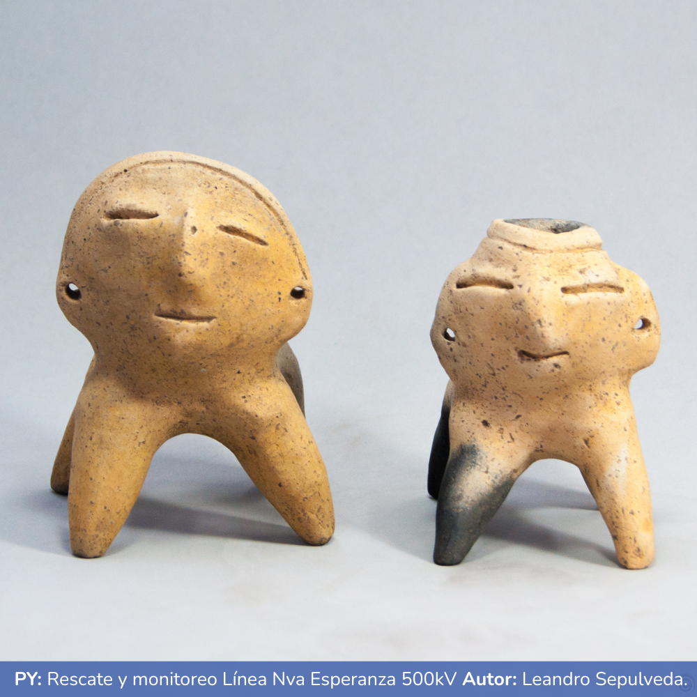 Rescate y monitoreo Linea Nueva Esperanza 500 kV_24