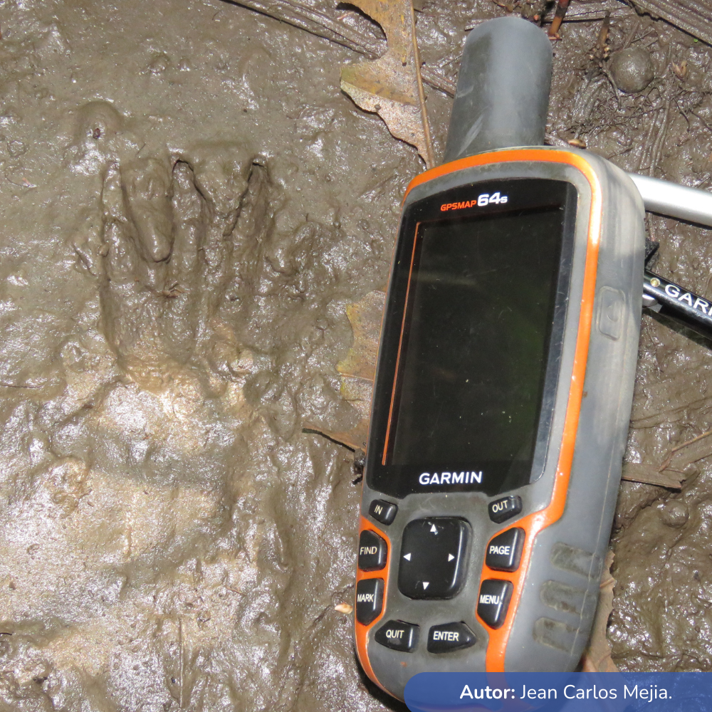 Rescate y reubicación de flora y fauna Lt 500 kV Porce III-Sogamoso tramo Río Magdalena – SE Sogamoso_Cliente FERTECNICA G S.A.S_24