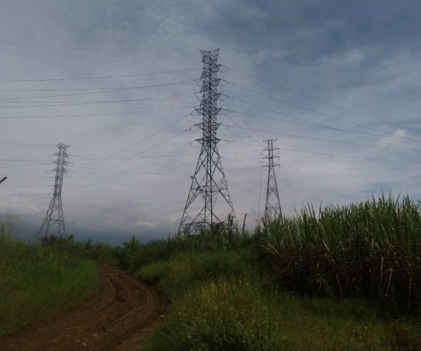 Líneas de transmisión transmission lines Electromechanical, civil and structural design Diseño electromecánico, civil y estructural Ingedisa S.A Colombia