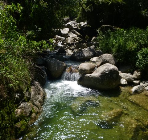 Consultoría estudios ambientales environmental studies Prefactibilidad ambiental Environmental Prefeasibility Environmental impact Impacto Ambiental Ingedisa S.A Colombia