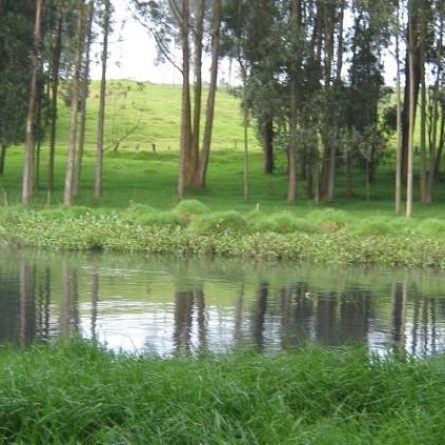 Consultoría estudios ambientales environmental studies Prefactibilidad ambiental Environmental Prefeasibility Environmental impact Impacto Ambiental Ingedisa S.A Colombia